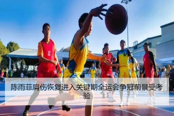 陈雨菲肩伤恢复进入关键期全运会争冠前景受考验